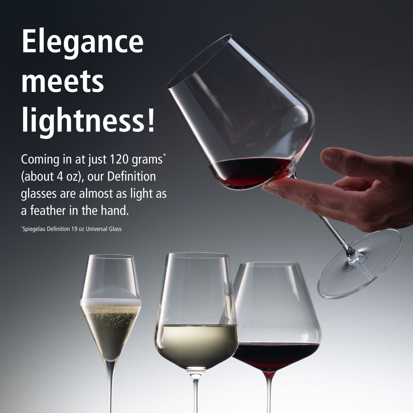 Spiegelau Definition Burgundy Glass (set of 4)