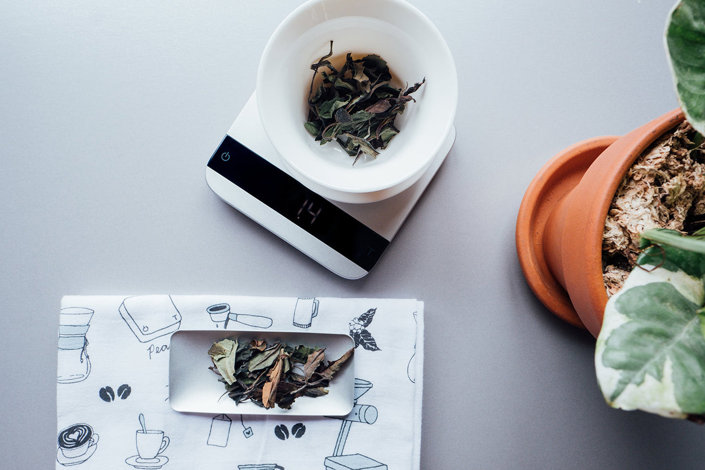 Acaia Tea Scoops Set | Barsonist