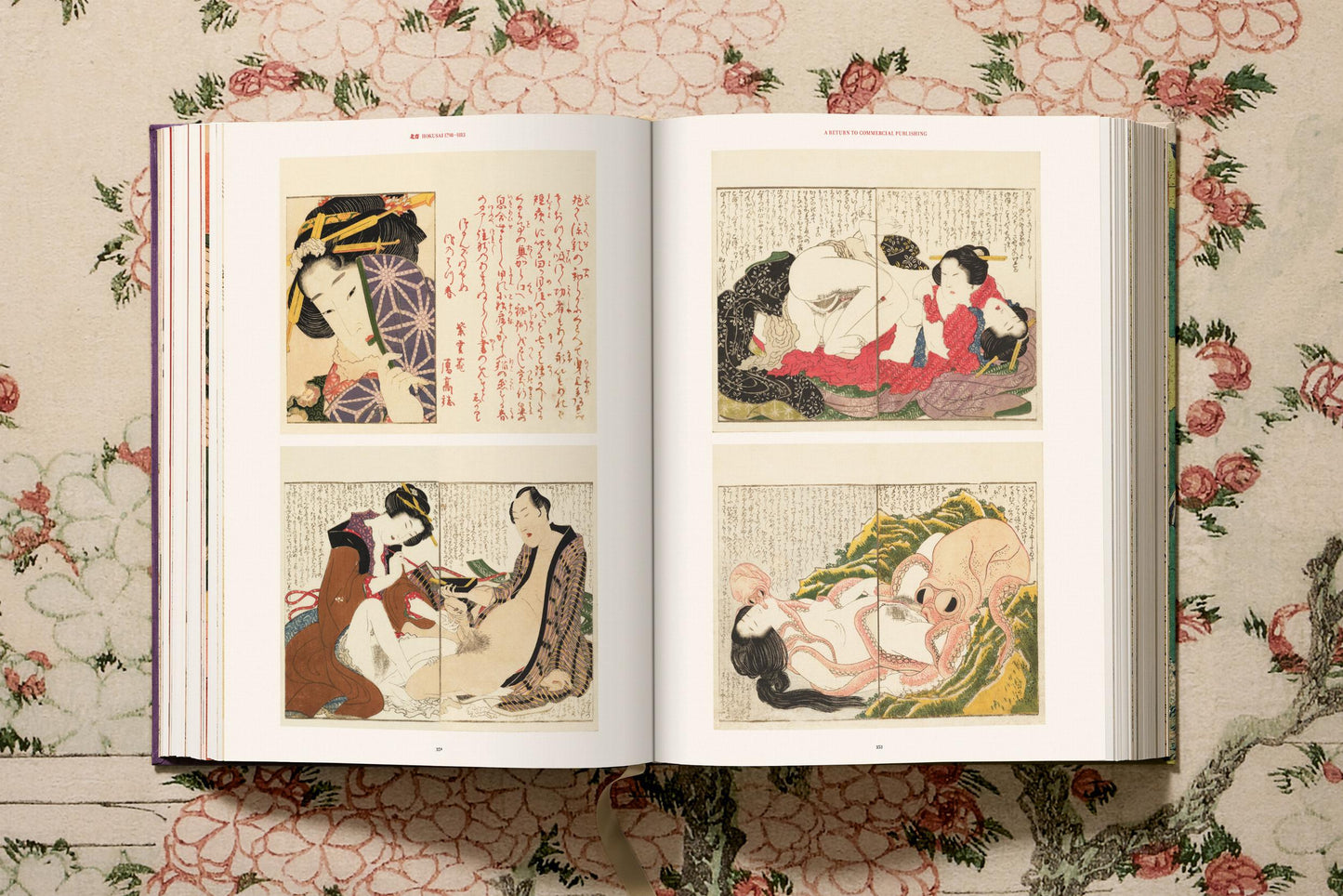 Hokusai: The Complete Illustrated Biography | Barsonist
