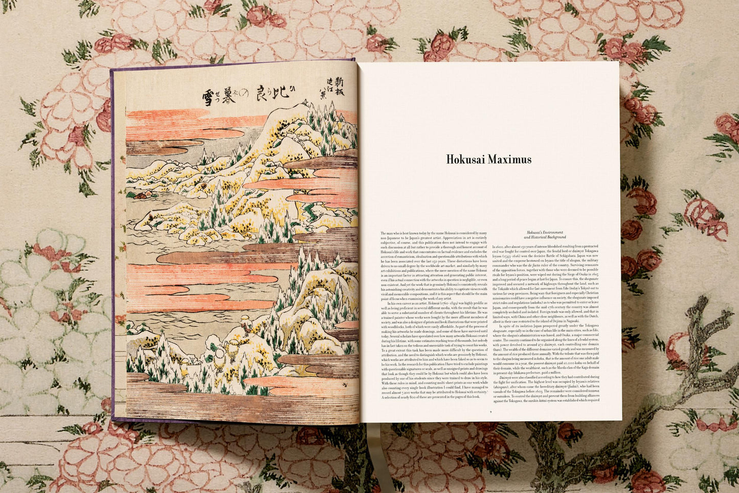 Hokusai: The Complete Illustrated Biography | Barsonist