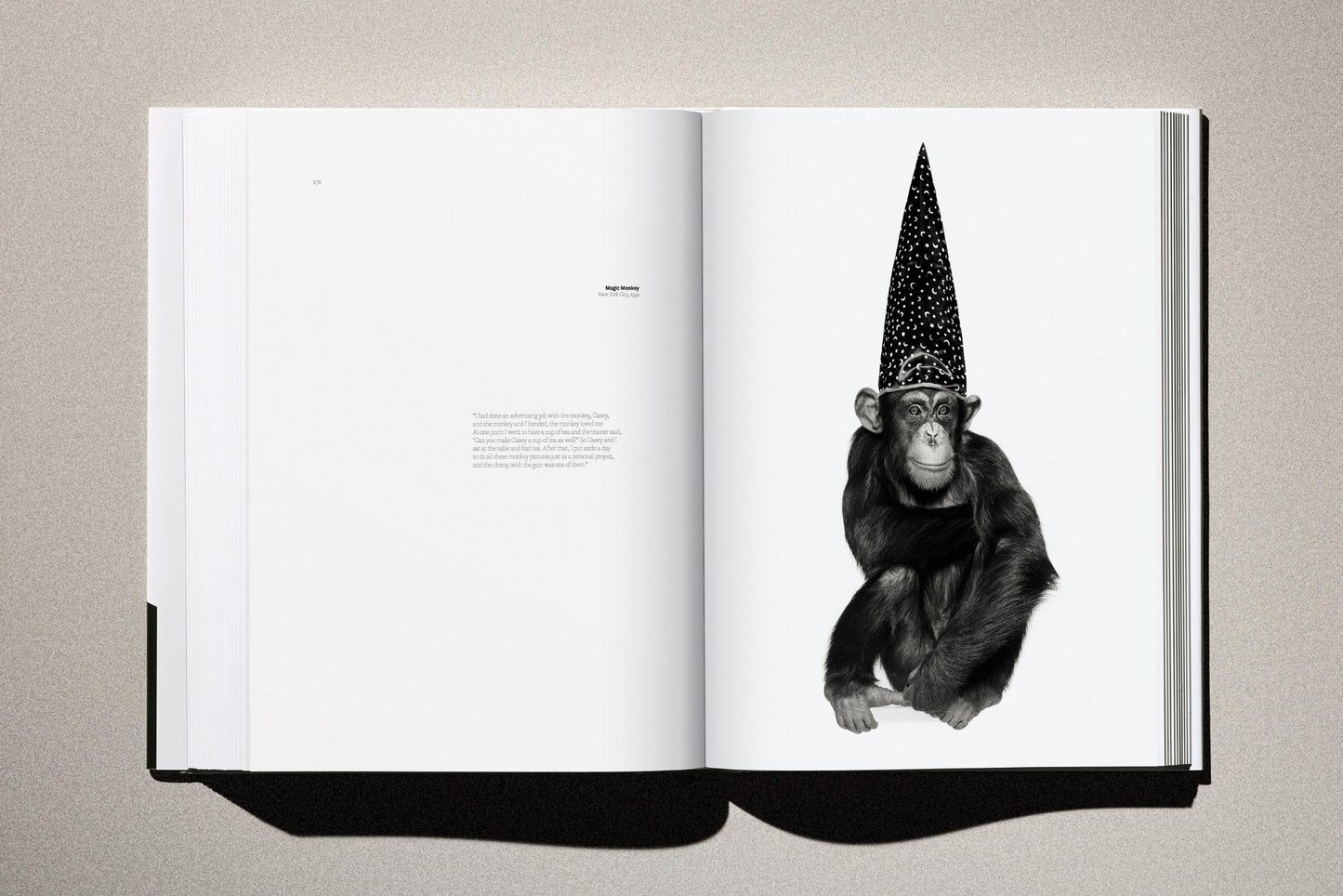 Albert Watson: Kaos Photography Monograph | Barsonist