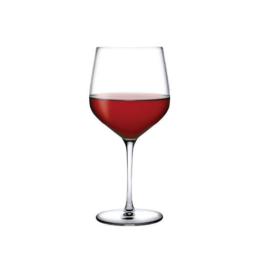 NUDE Refine Burgundy Wine Glasses Set of 2 | Barsonist