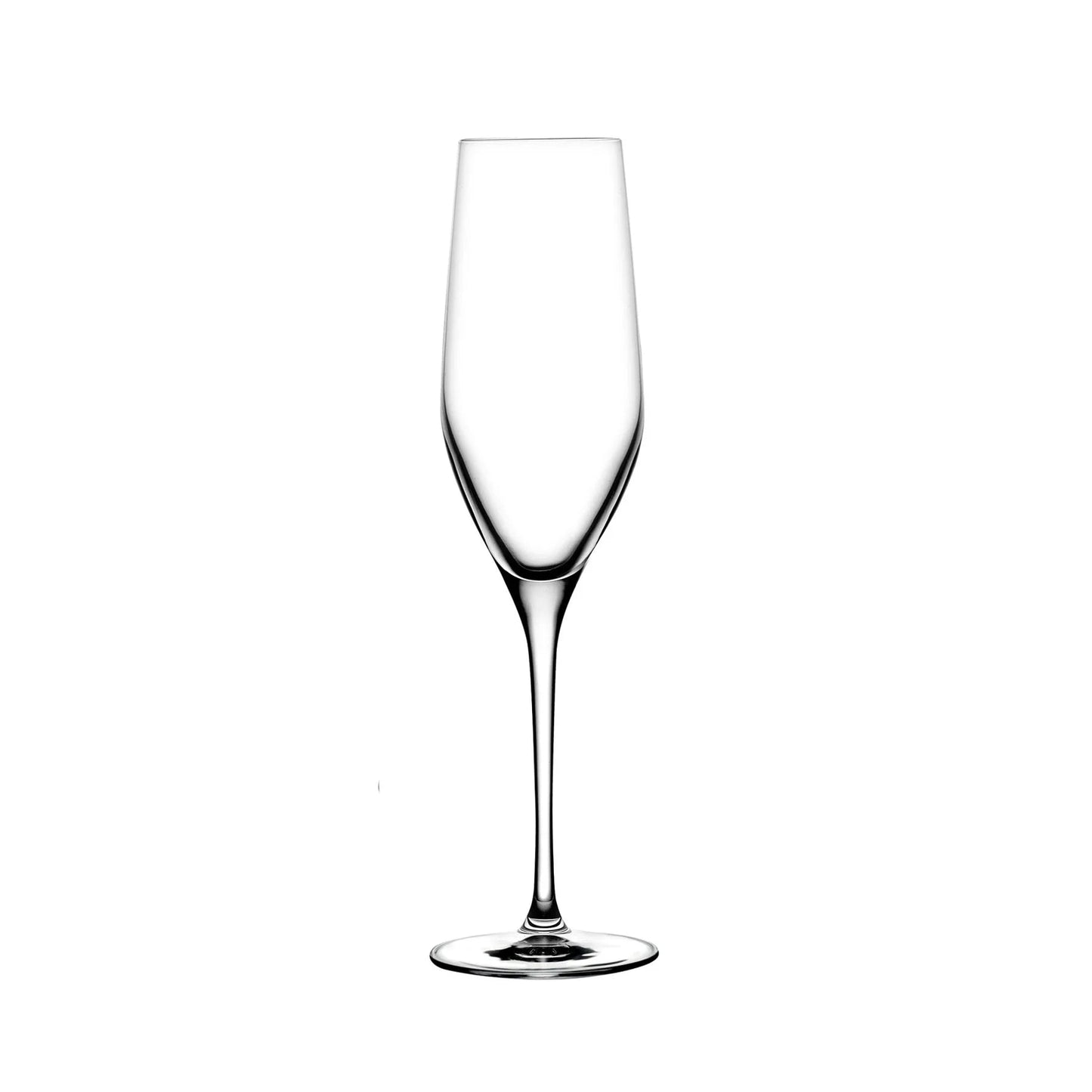 Vinifera Set of 2 Champagne Glasses | Barsonist