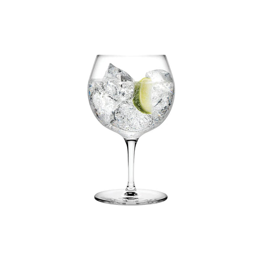 NUDE Vintage Gin & Tonic Glasses Set of 2 | Barsonist
