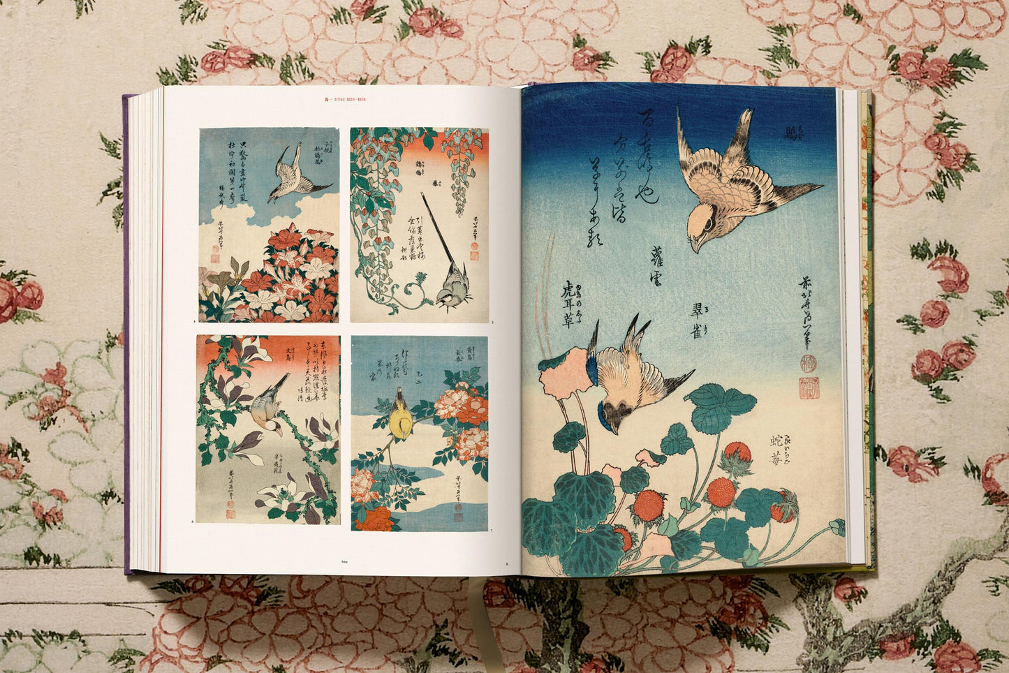Hokusai: The Complete Illustrated Biography | Barsonist