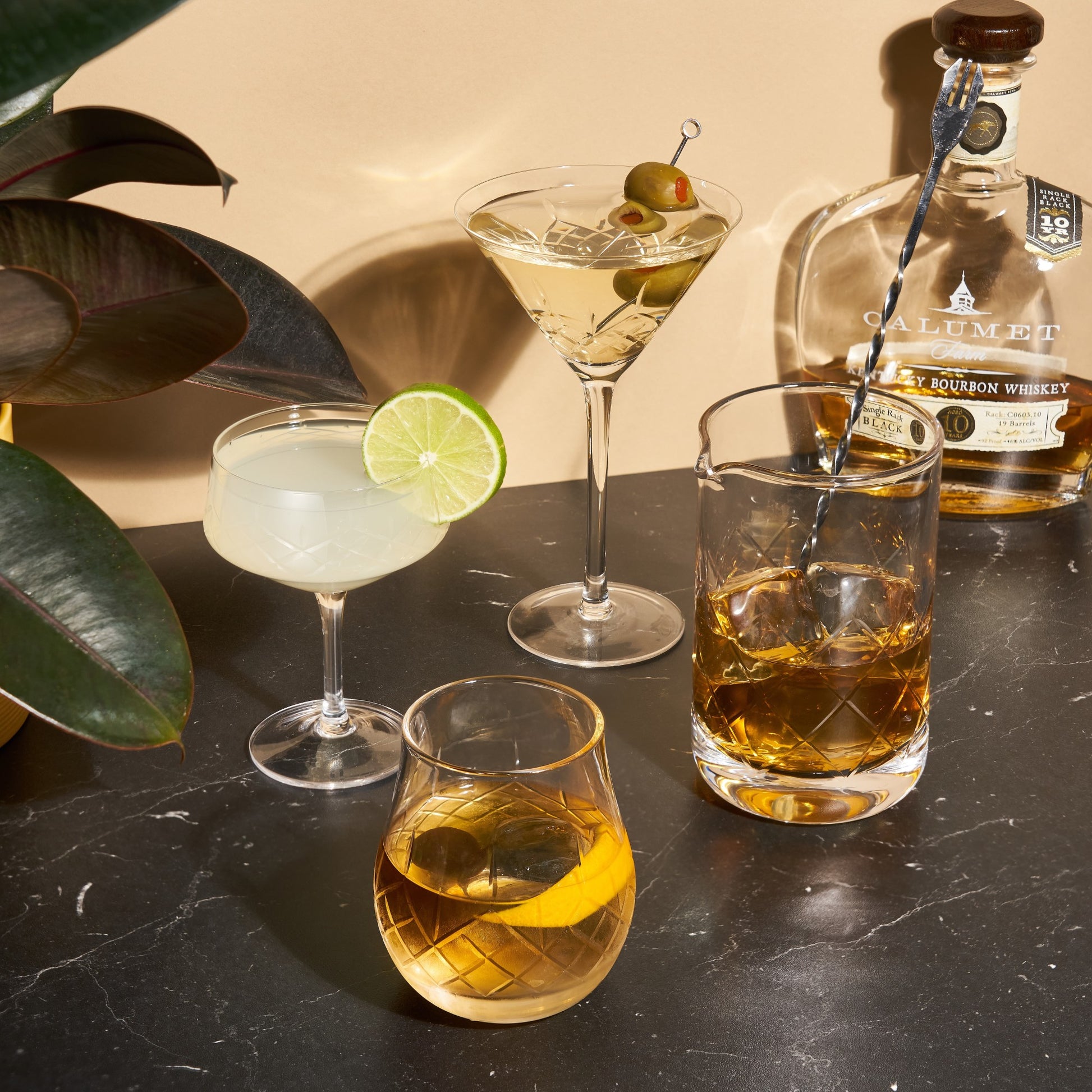 Admiral Crystal Martini Glasses Viski® (Set of 2)