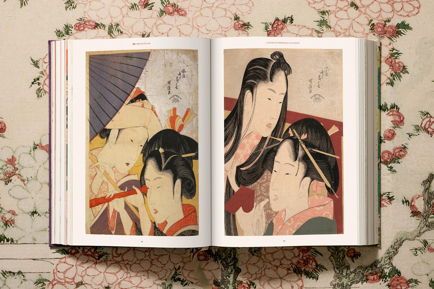 Hokusai: The Complete Illustrated Biography | Barsonist