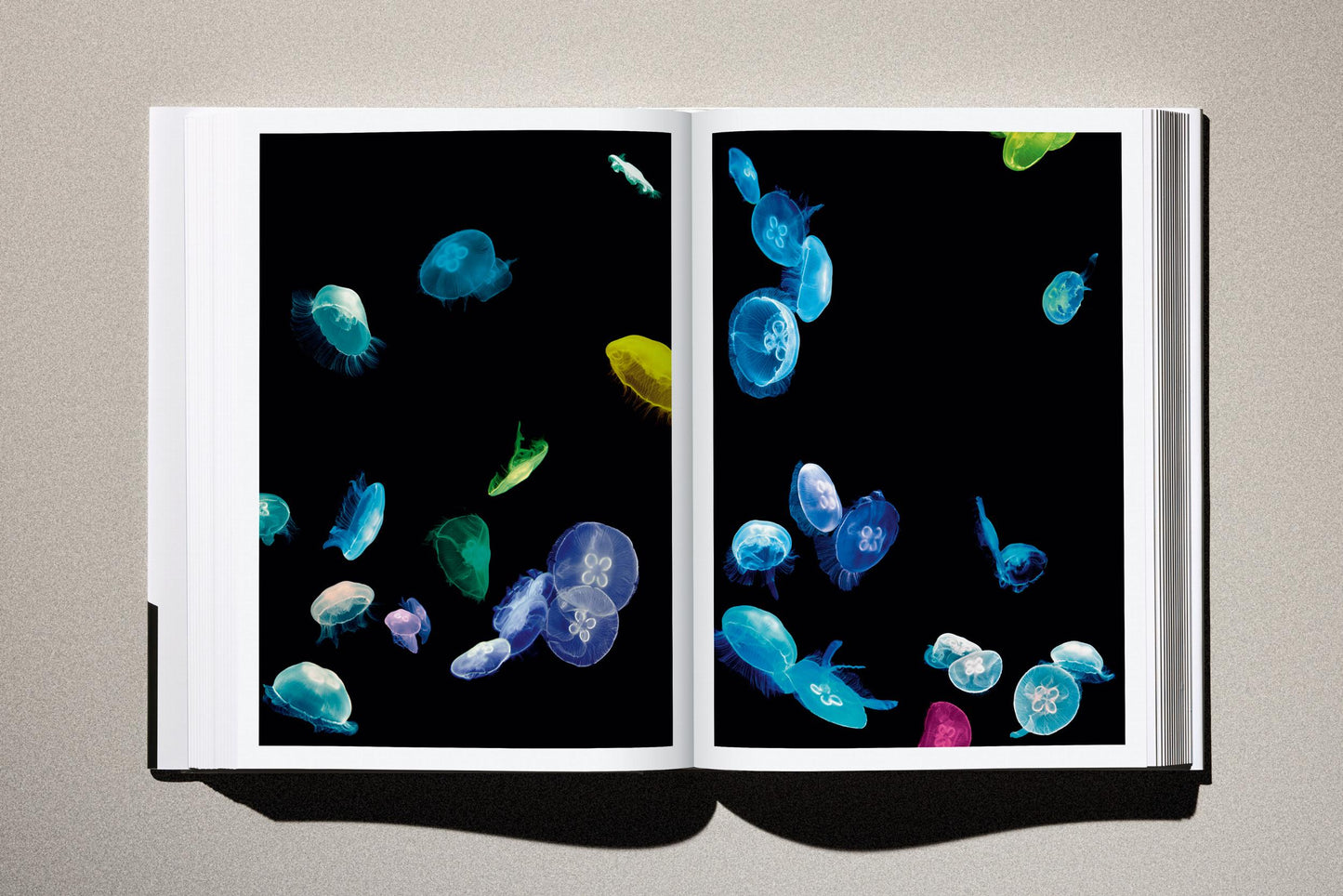 Albert Watson: Kaos Photography Monograph | Barsonist
