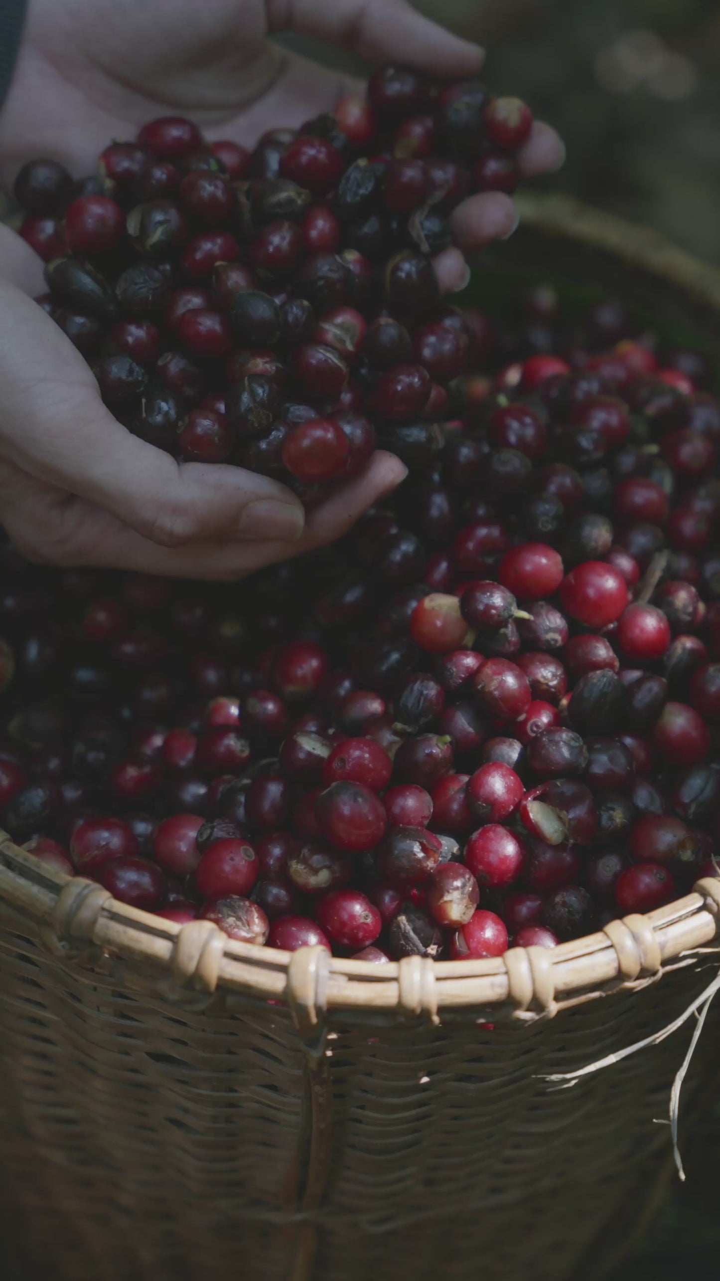 Explorer Box Gift Set