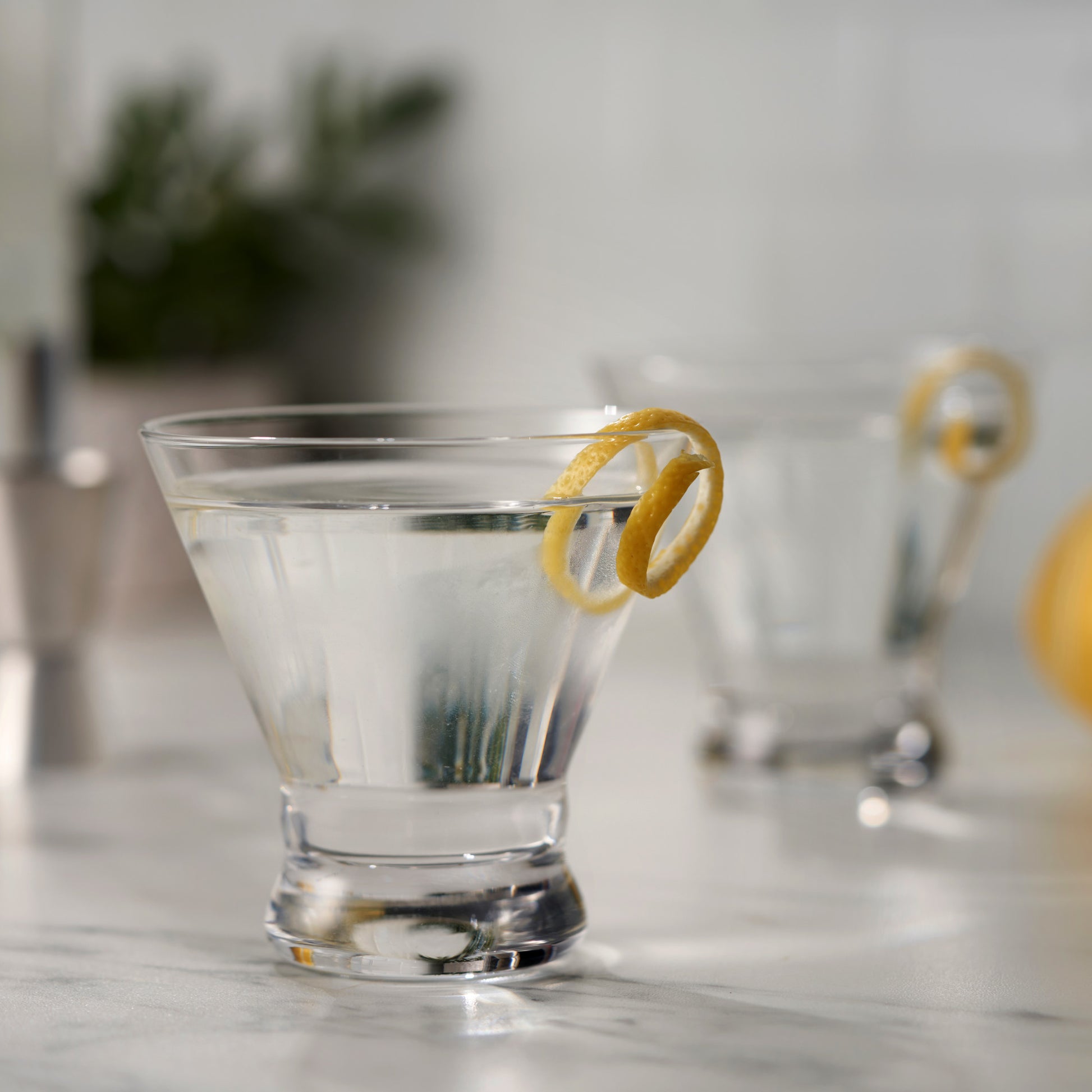 Juniper Martini Glasses, Set of 4 by True