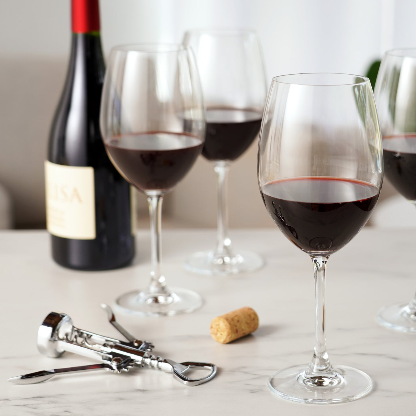 St. Julien Set of 4 Bordeaux Glass by True