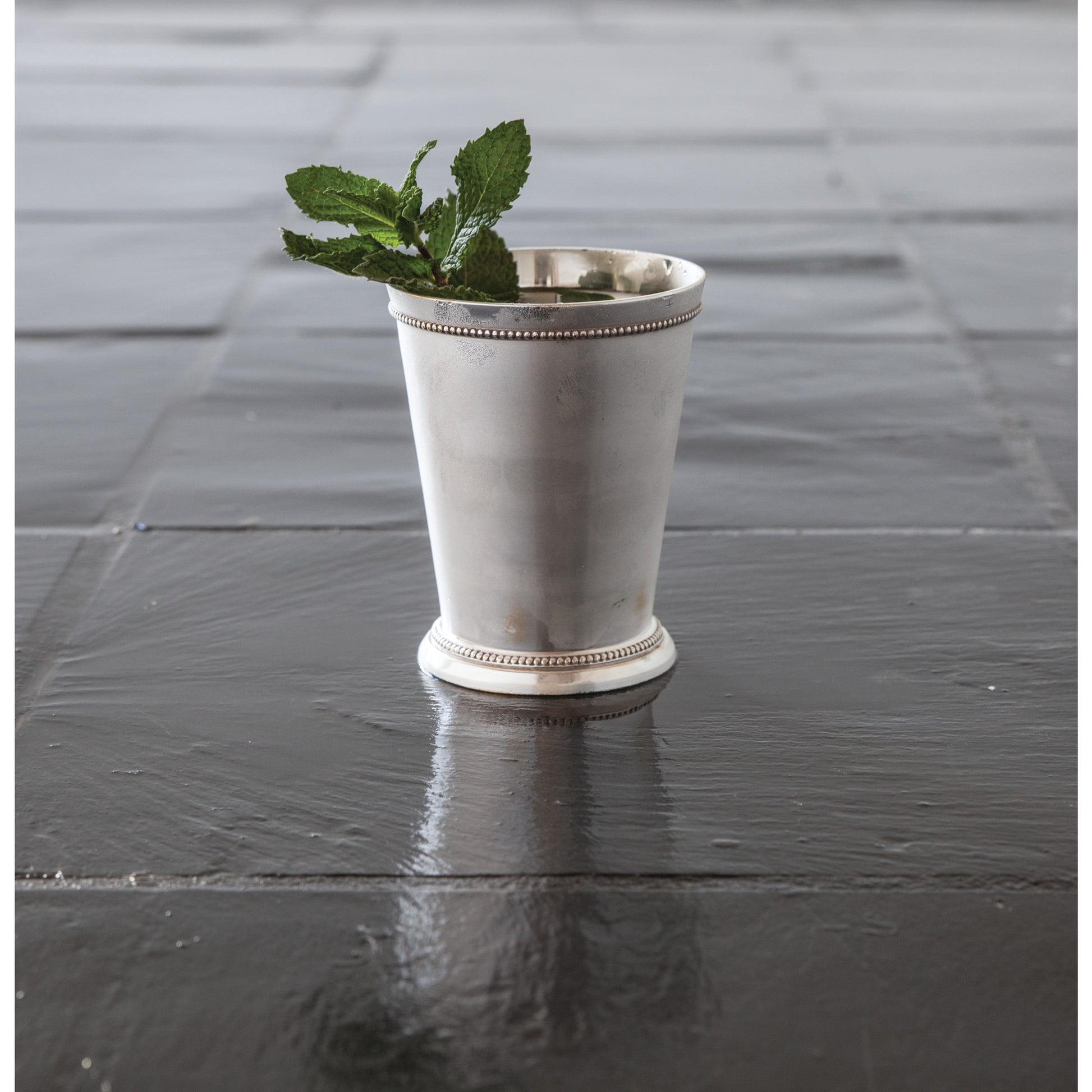 Mint Julep Cup by Twine, Sterling Silver-Plated Brass | Barsonist
