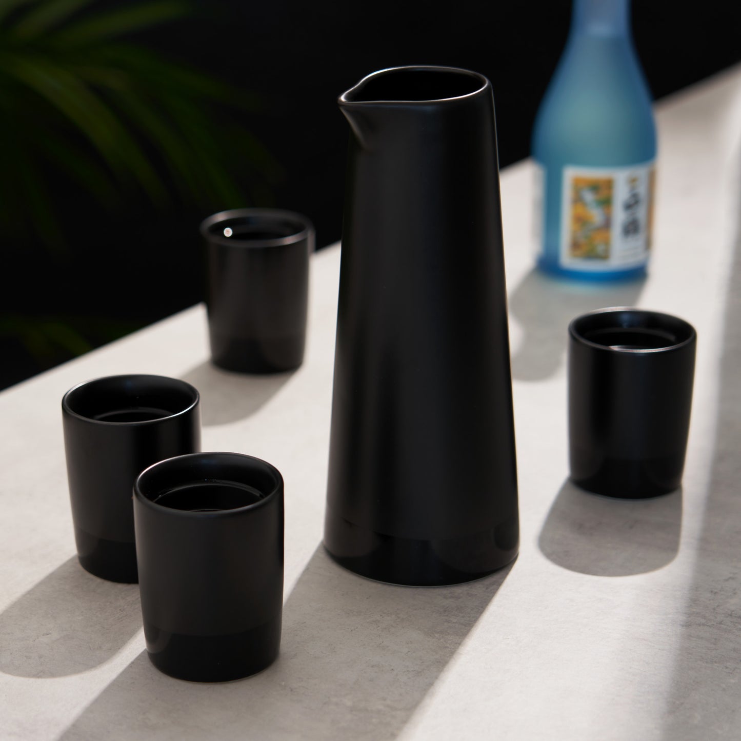 5 Piece Black Stoneware Sake Set Viski®