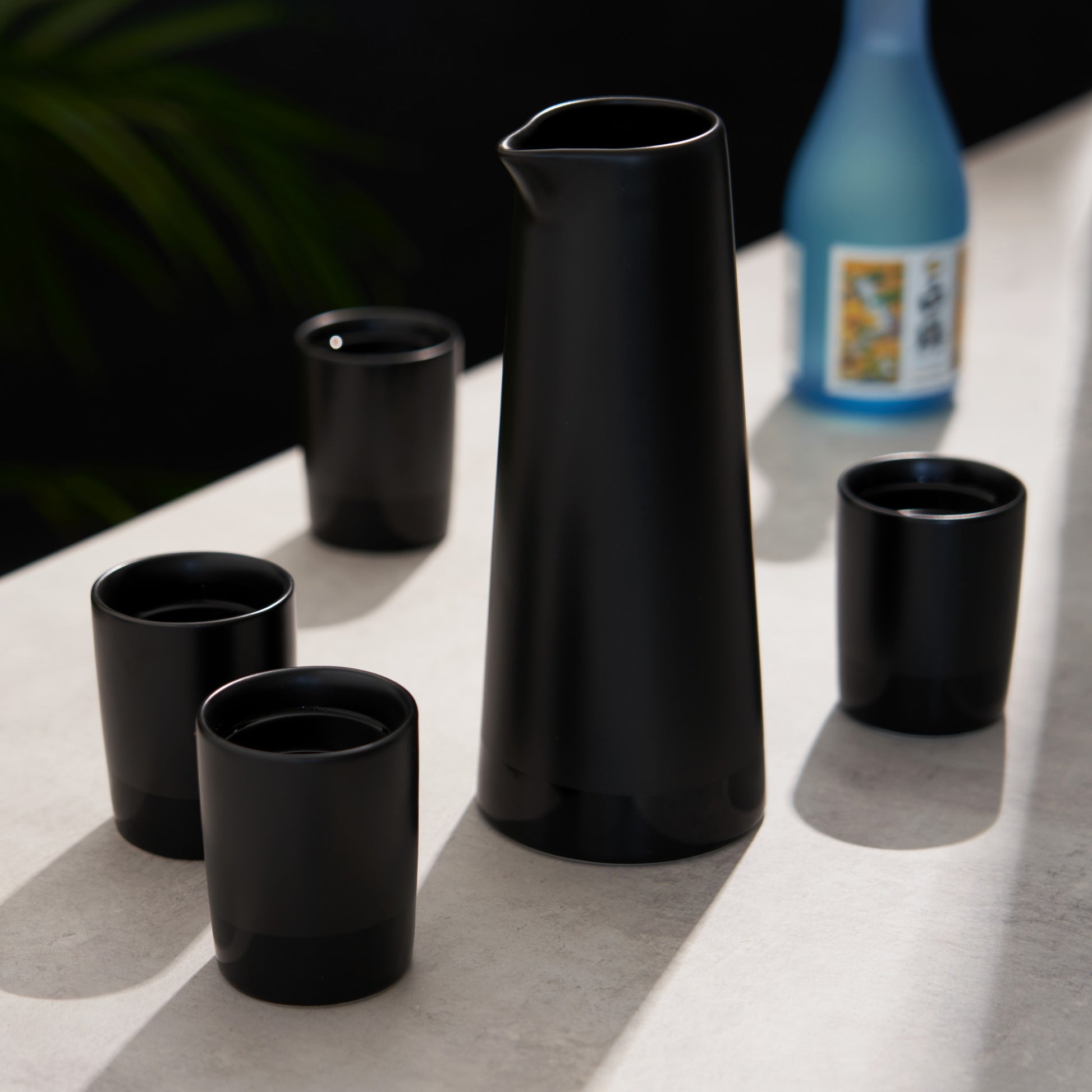 5 Piece Black Stoneware Sake Set Viski®