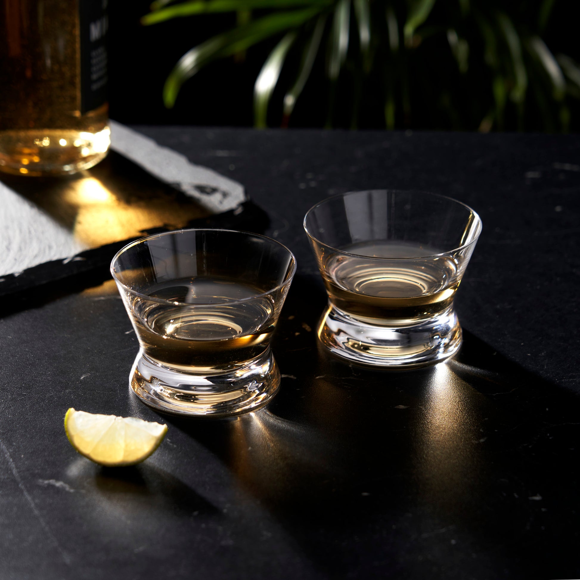 Raye Crystal Tequila Tasting Glasses Viski® (Set of 2)